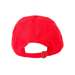 RUNTZ WE DELIVER HAT (RED)
