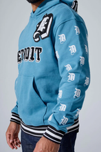 Load image into Gallery viewer, JORDAN CRAIG D-TOWN PULLOVER HOODIE (LION)