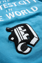 Load image into Gallery viewer, JORDAN CRAIG D-TOWN PULLOVER HOODIE (LION)