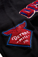 Load image into Gallery viewer, JORDAN CRAIG D-TOWN PULLOVER HOODIE (PISTON)