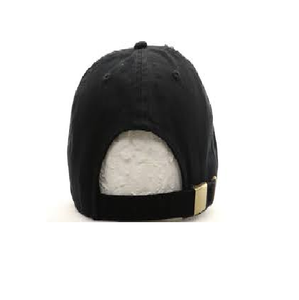 MV Future Billionaire Hat (grey)