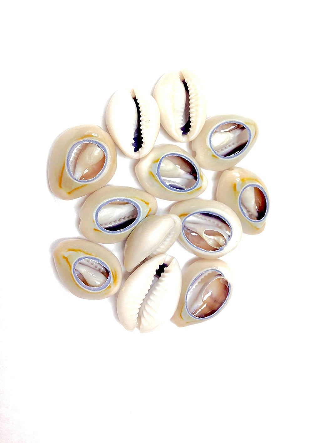LARGE SHELL HAIR BEADS